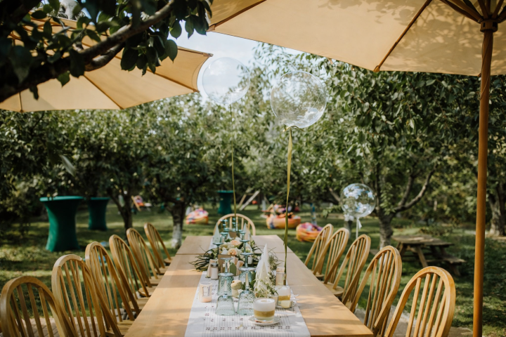 d9549d2c-d628-4699-9ebe-dea6255244a1