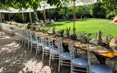 WhatsApp Image 2026-03-06 at 17.12.56